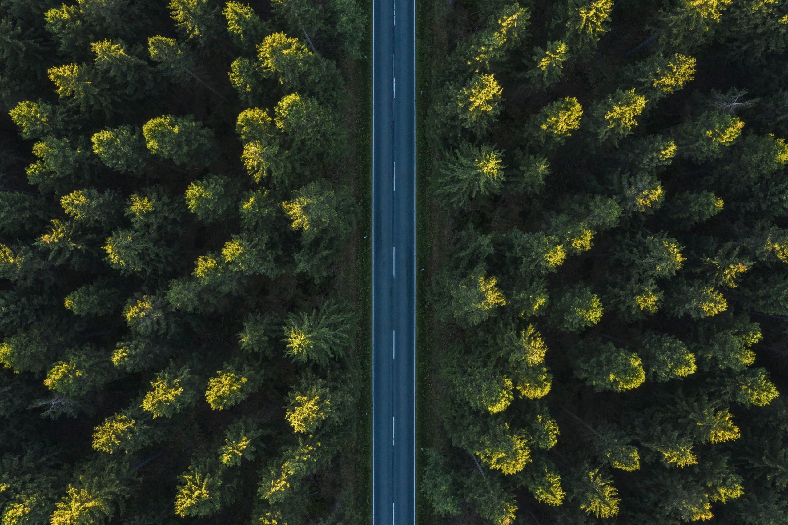 Automotive marketing mentoring page image featuring an aerial road view representing the road to effective automotive marketing.